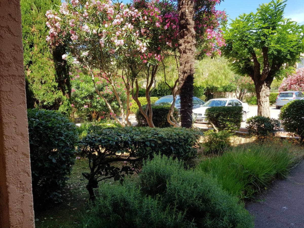 Studio Confortable Au Calme Proche Du Port Et De La Plage Grande Terrasse Et Parking Residence Le Grand Large Saint-Mandrier-sur-Mer Eksteriør billede